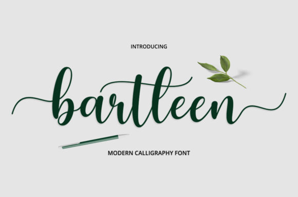 Bartleen: A Script Handwritten Font for Dynamic Web Design