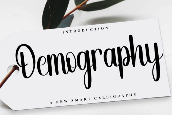 Demography: A Font That Elevates Your Brand’s Visual Story
