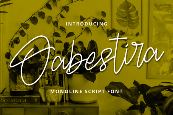 Oabestira: A Timeless Script Font for Branding and Creativity