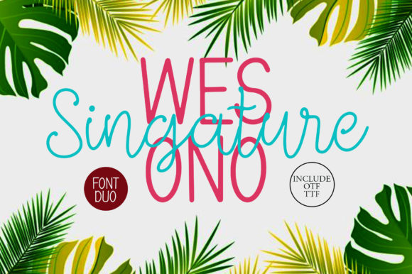 Wesono Singature for Web Designers Seeking a Versatile Script Font